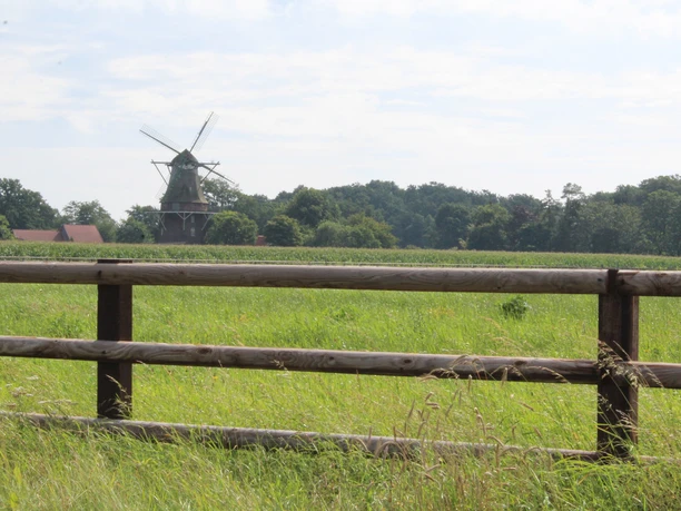 Historische Windmühle in grüner Landschaft von Schwarme mit hölzernem Zaun im Vordergrund.