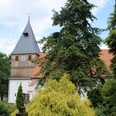 Kirche in Steyerberg-Rießen mit markantem Turm, umgeben von hohen Bäumen und bunten Sträuchern.