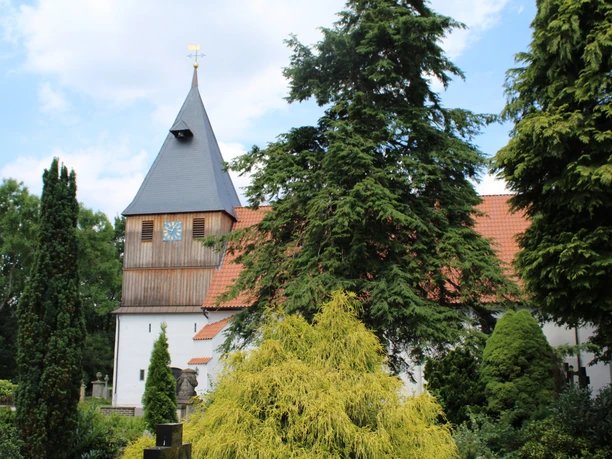 Kirche Steyerberg-Rießen Kirche in Steyerberg-Rießen mit markantem Turm, umgeben von hohen Bäumen und bunten Sträuchern.