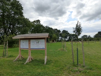 Streuobstwiese Achimer Marsch Schautafel und junge Obstbäume auf einer grün bewachsenen Wiese unter einem bewölkten Himmel.