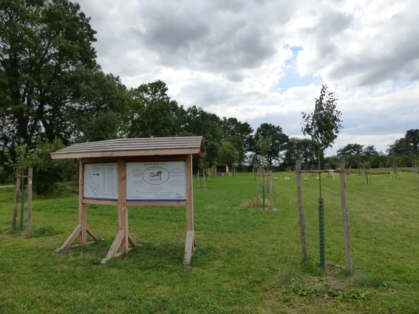 Streuobstwiese Achimer Marsch Schautafel und junge Obstbäume auf einer grün bewachsenen Wiese unter einem bewölkten Himmel.