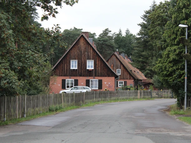 Zwei Fachwerkhäuser säumen eine Landstraße, umgeben von dichtem Wald und eingezäunten Gärten.