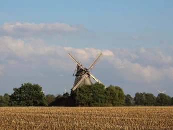 Wall-Holländer-Mühle Mösloh Traditionelle Wall-Holländer-Mühle erhebt sich majestätisch über ein goldgelbes Weizenfeld.
