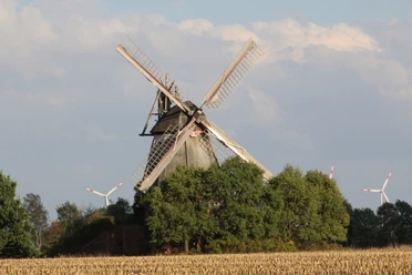 Die Wall-Holländer-Mühle Mösloh, umgeben von Bäumen und Feldern, mit Windrädern im Hintergrund.