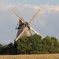 Wall-Holländer-Mühle Mösloh Die Wall-Holländer-Mühle Mösloh, umgeben von Bäumen und Feldern, mit Windrädern im Hintergrund.