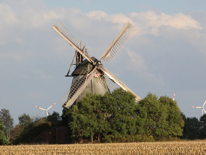 Wall-Holländer-Mühle Mösloh Die Wall-Holländer-Mühle Mösloh, umgeben von Bäumen und Feldern, mit Windrädern im Hintergrund.