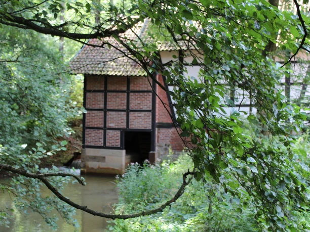 Wassermühle Harrienstedt Wassermühle am Fluss, umgeben von üppigem Grün und Bäumen, historisches Fachwerk ist erkennbar.