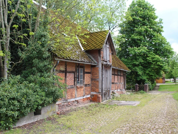Historische Wassermühle Heuermann aus rotem Backstein, umgeben von Bäumen, mit leicht bemoostem Dach.