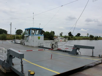 Autofähre auf der Weser bei Schweringen, mit Autos an Bord und Bäumen am Flussufer im Hintergrund.
