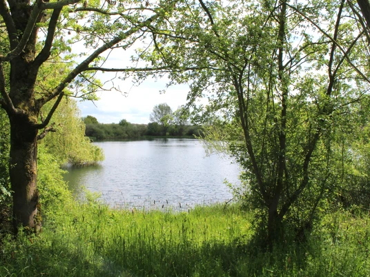 Grün umrahmter See im Sonnenschein, umgeben von üppiger Vegetation und friedlicher Atmosphäre.