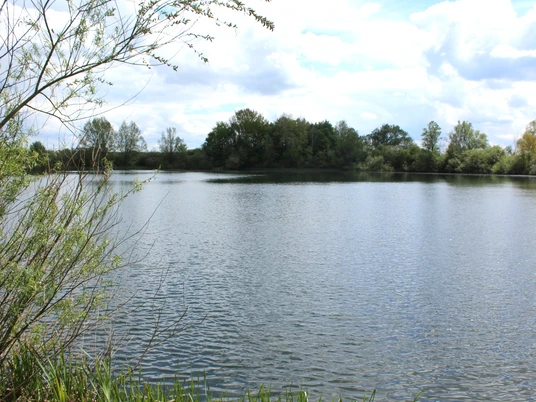 Wiedesee Ein ruhiger See in einer bewaldeten Umgebung, umgeben von grünem Ufergebüsch und blauem Himmel.