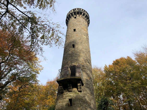 Der Wilhelmsturm erhebt sich majestätisch im herbstlichen Wald, umgeben von bunten Laubblättern.