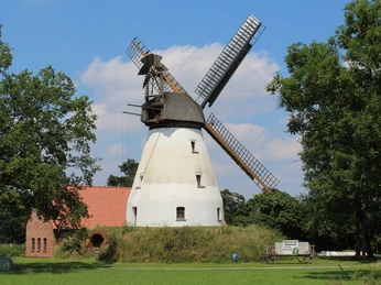Windmühle Heimsen Windmühle Heimsen in ländlicher Umgebung mit alten Backsteingebäuden und blühender Natur.