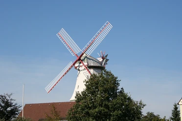 Windmühle mit roten Flügeln und weißen Holzplanken hinter Bäumen vor blauem Himmel in Langwedel-Etelsen.