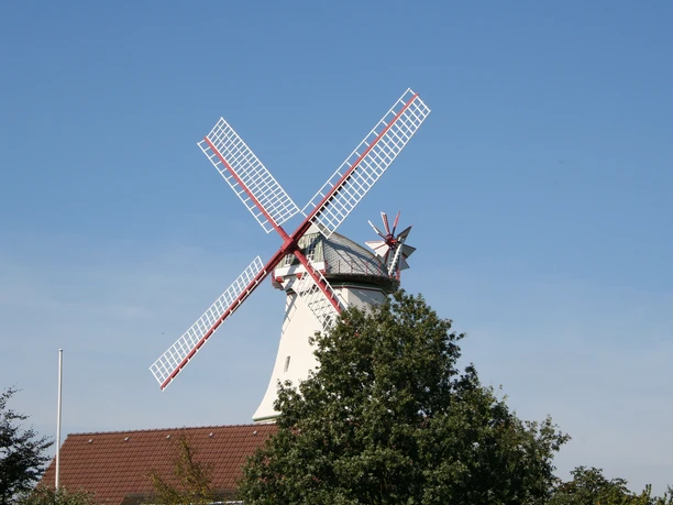 Windmühle mit roten Flügeln und weißen Holzplanken hinter Bäumen vor blauem Himmel in Langwedel-Etelsen.