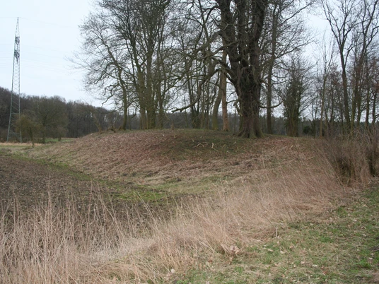 Burghügel Wölper Burg Eine leicht bewachsene Erderhebung, umgeben von Bäumen und einem kargen, feldähnlichen Gelände.