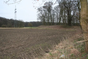 Burghügel Wölper Burg Weitläufiges, leicht erhöhtes Gelände mit Bäumen, Ruinen und einem angrenzenden Feld in Wölpinghausen.