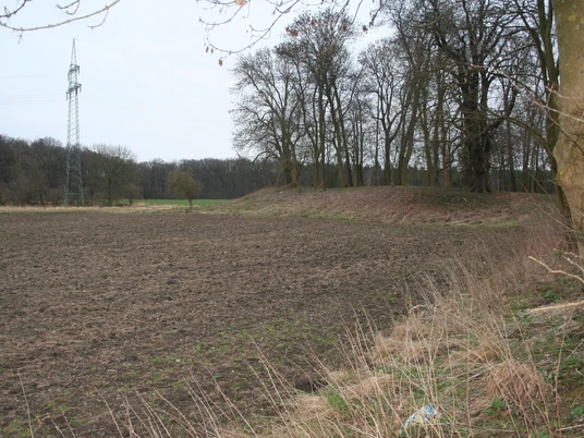 Burghügel Wölper Burg Weitläufiges, leicht erhöhtes Gelände mit Bäumen, Ruinen und einem angrenzenden Feld in Wölpinghausen.