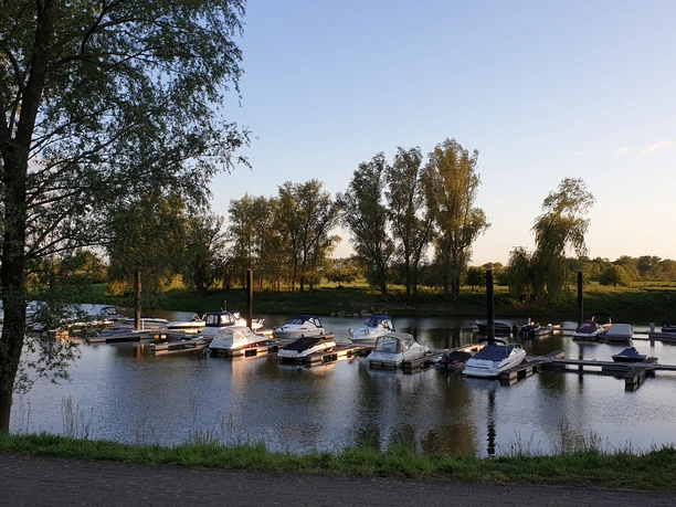 Eine ruhige Wasserstelle mit vertäuten Booten, umgeben von Bäumen unter einem klaren Abendhimmel.