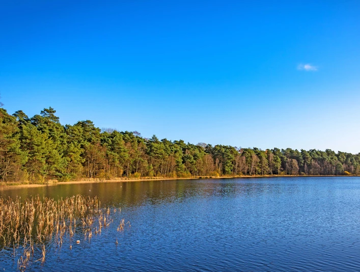 Großer Bullensee am Naturschutzgebiet Großes und Weißes Moor Großer Bullensee am Naturschutzgebiet Großes und Weißes MoorLarge Bullensee lake at the Großes and Weißes Moor nature reserveGroßer Bullensee-søen i naturreservatet Großes und Weißes MoorGroßer Bullensee bij het natuurreservaat Großes und Weißes Moor