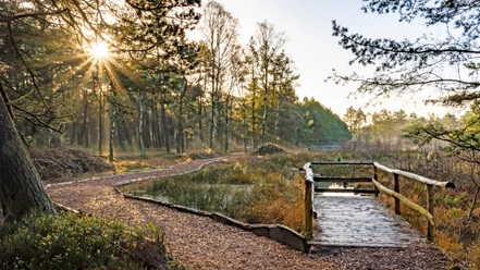 Moorerlebniszone im Großen und Weißen Moor Moorerlebniszone im Großen und Weißen Moor