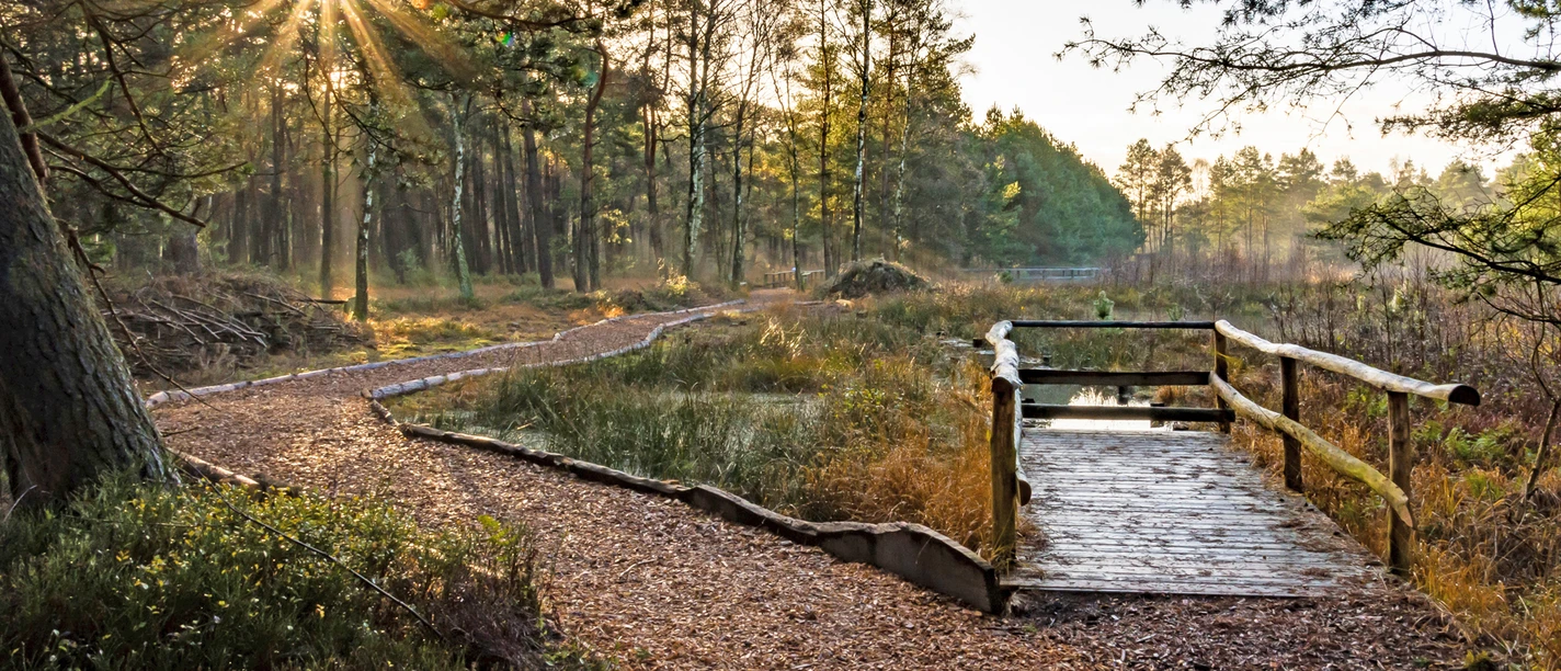 Moorerlebniszone im Großen und Weißen Moor Moorerlebniszone im Großen und Weißen Moor
