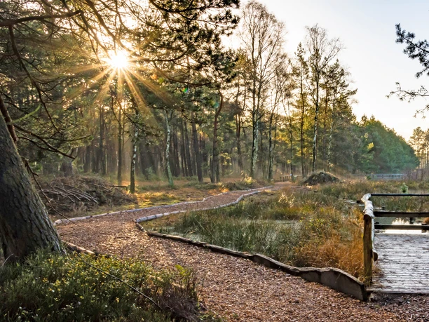 Moorerlebniszone im Großen und Weißen Moor Moorerlebniszone im Großen und Weißen Moor