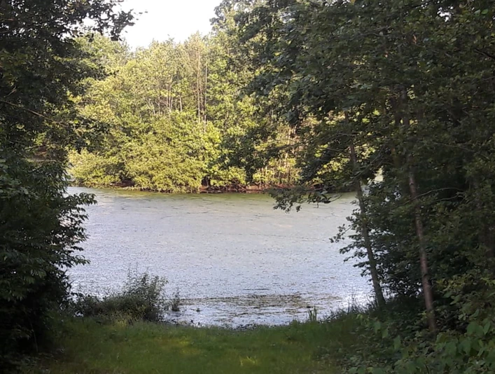Ausblick auf das Regenrückhaltebecken in Kirchtimke Ausblick auf das Regenrückhaltebecken in Kirchtimke