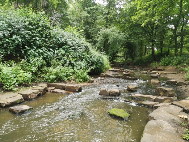Bastau Aussicht Steinige Passage durch plätschernden Bach inmitten eines grünen, üppigen Waldgebietes.