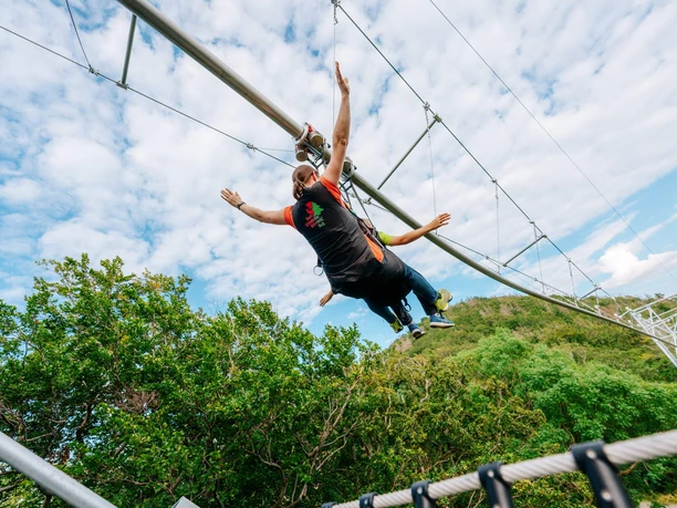 BaumSchwebeBahn Harz