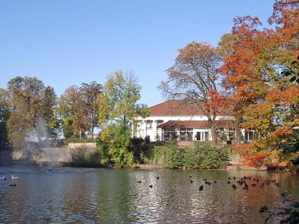 kasinoteich kasinoteich