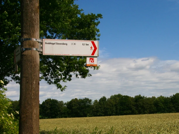 Grabhügel Sieversberg am Nordpfad Hölzerbruch-Malse Grabhügel Sieversberg am Nordpfad Hölzerbruch-Malse
