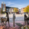 Der Pferdemarkt in Rotenburg (Wümme) Der Pferdemarkt in Rotenburg (Wümme)