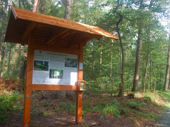 Eingangsbereich in den FriedWald im Waldgebiet Höhne Eingangsbereich in den FriedWald im Waldgebiet Höhne