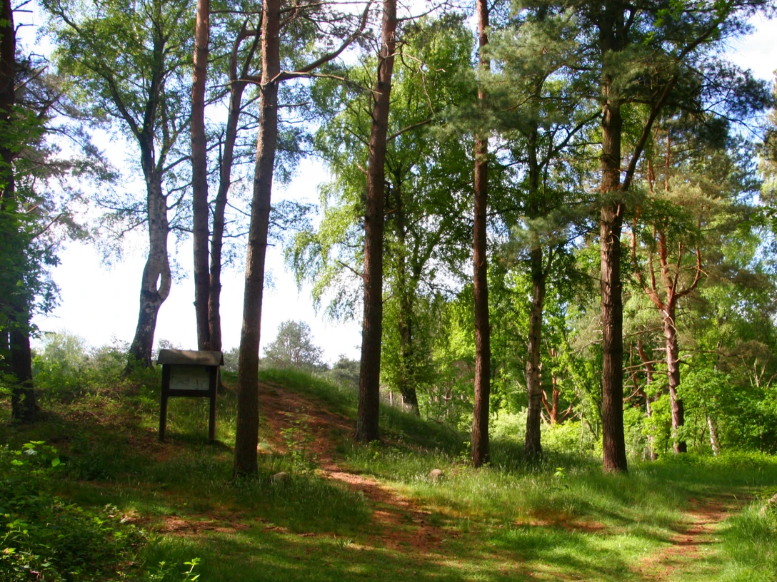 Grabhügel Tempelberg Grabhügel Tempelberg
