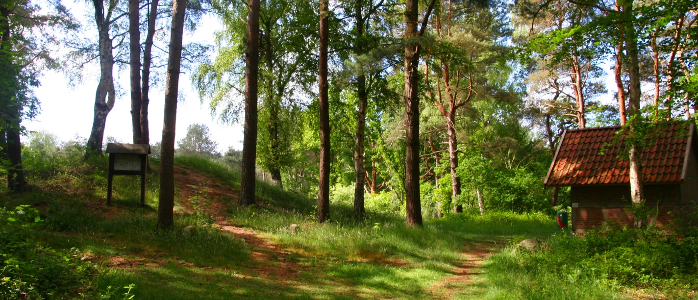 Grabhügel Tempelberg Grabhügel Tempelberg