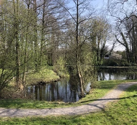 rosenteich