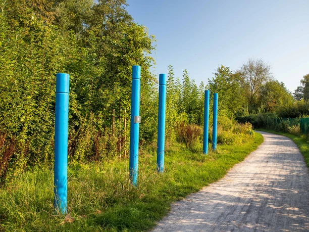 kunst-an-der-auewiese Fünf leuchtend blaue Stahlstelen stehen neben einem geschwungenen, von Bäumen gesäumten Kiesweg.