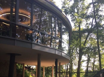 Alternativer Bärenpark WORBIS