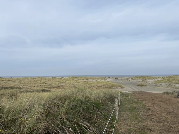Kalfamer Juist - Ostende der Insel.jpg Kalfamer Juist - Ostende der Insel