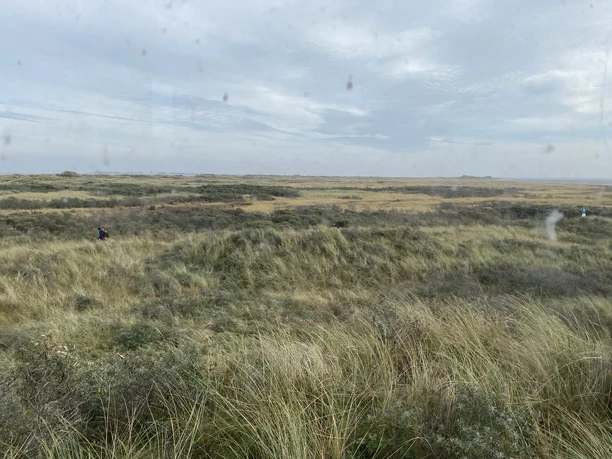 Kalfamer Juist - Ostende der Insel.jpg Kalfamer Juist - Ostende der Insel