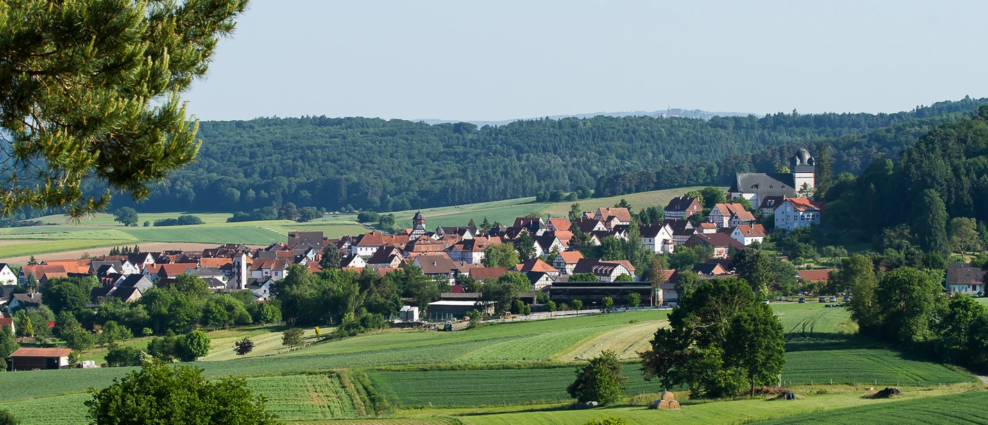 stadtansicht_weit_2_armin_koehler