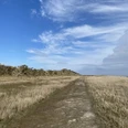 Naturerlebnispfad am Kalfamer - Naturlehrpfad auf Juist