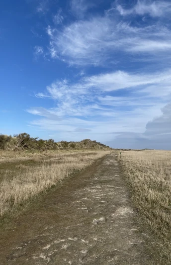 Naturerlebnispfad am Kalfamer - Naturlehrpfad auf Juist.jpg Naturerlebnispfad am Kalfamer - Naturlehrpfad auf Juist