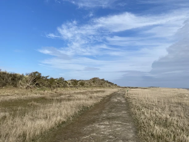 Naturerlebnispfad am Kalfamer - Naturlehrpfad auf Juist.jpg Naturerlebnispfad am Kalfamer - Naturlehrpfad auf Juist