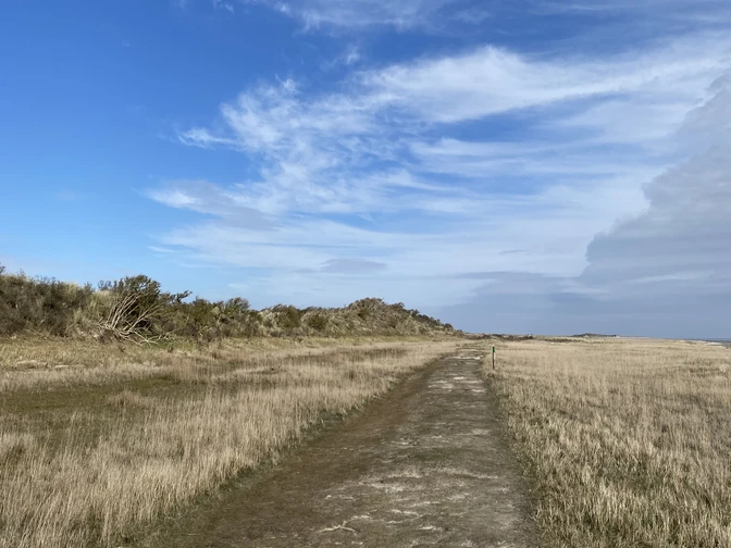 Naturerlebnispfad am Kalfamer - Naturlehrpfad auf Juist.jpg Naturerlebnispfad am Kalfamer - Naturlehrpfad auf Juist
