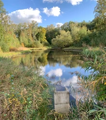 Wandern-Ahlhorner-Fischteiche-Teichwirtschaft.jpg