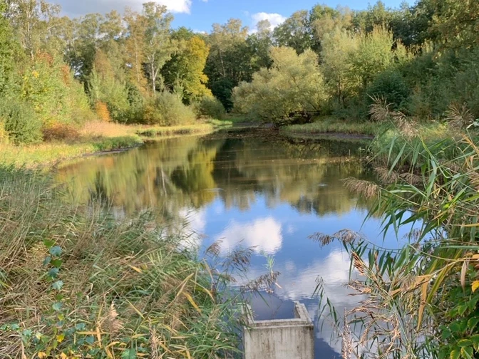 Wandern-Ahlhorner-Fischteiche-Teichwirtschaft.jpg