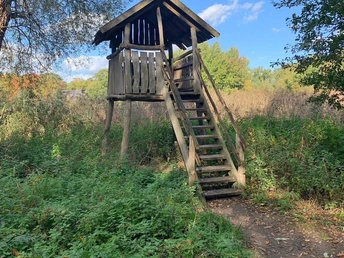 Wandern-Ahlhorner-Fischteiche-Aussichtsturm.jpg