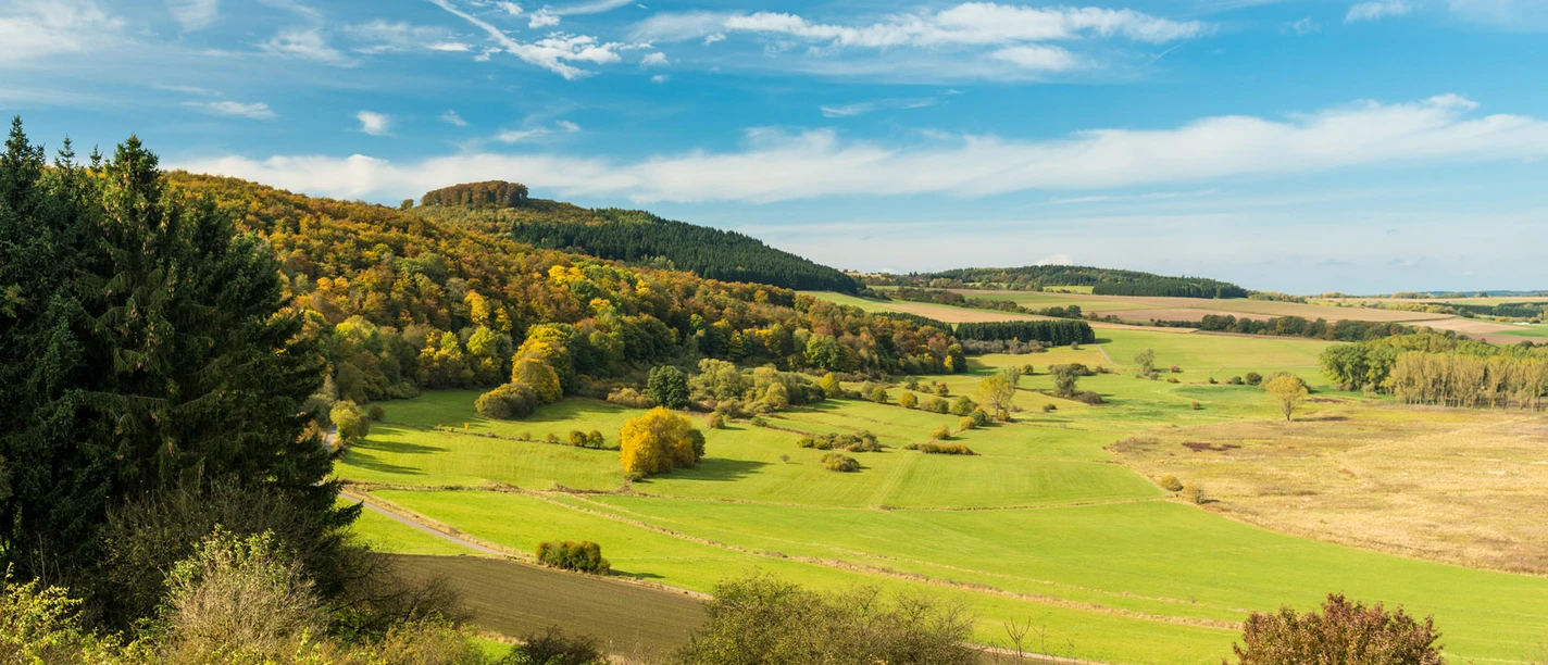 Mineralquellen-Route: Dreiser Weiher
